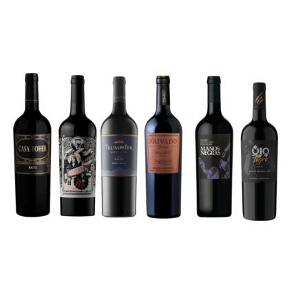 Combo Malbec Intensos